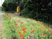 Wild Flower area developed by the Parish Council, near the Winding Wheel Cotes Park Memorial Nottingham Road Somercotes