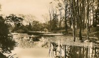 First of the Pennytown Ponds. 1908