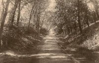 The Path from Cotes Park to Pennytown, A postcard of Cotes Park Woods