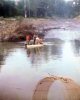 Removing the fish stocks at Pennytown Ponds prior to dredging, 1984