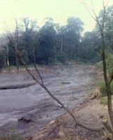 The Draining of Pennytown Ponds for Cleaning in 1984