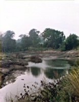 Draining of a pond at Pennytown prior to dredging,1984